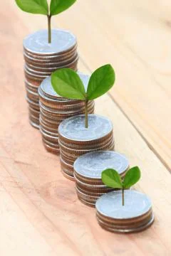 Young plant grown to stack silver coin in business growth concept. 写真素材