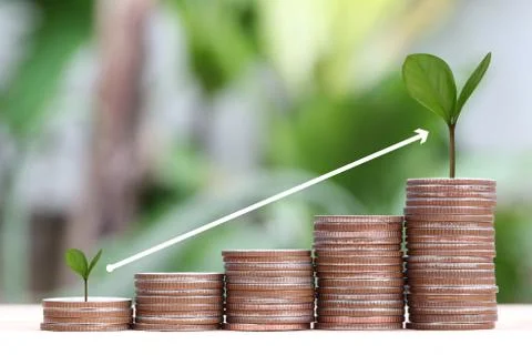 Young plant grown to stack silver coin in business growth concept. Stock Photos