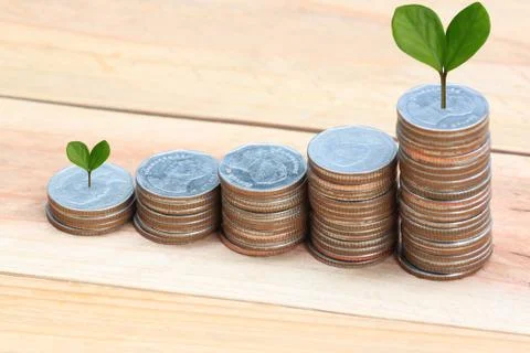 Young plant grown to stack silver coin in business growth concept. 写真素材