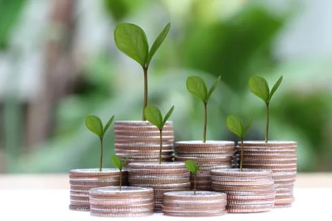 Young plant grown to stack silver coin in business growth concept. Stock Photos
