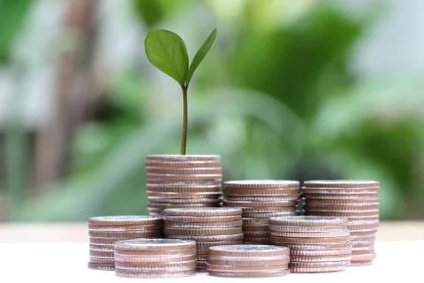 Young plant grown to stack silver coin in business growth concept. 写真素材