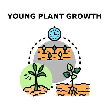 Young plant growth development evolution process icon イラスト素材