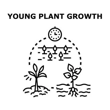 Young plant growth development evolution process icon Stock Illustration
