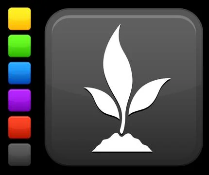 Young plant icon on square internet button Stock Illustration