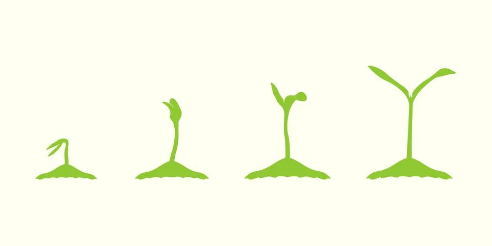 Young plant life process, tree growing agriculture icons. Illustrazione stock