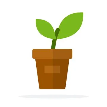 A young plant in a pot vector flat isolated Stock Illustration