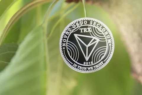 Young plant on the top of coin stack, bitcoin, investment, business growth Stock Photos