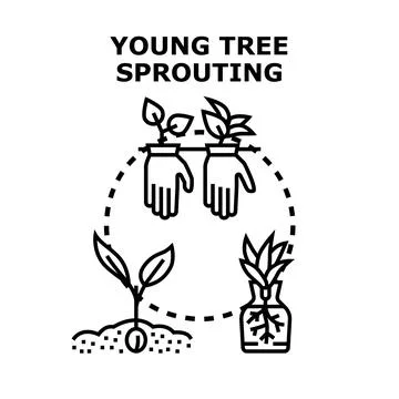 Young plants growing development starting from seed イラスト素材