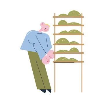 Young positive man worker standing and putting green tea leaves on shelves for Ilustración de archivo