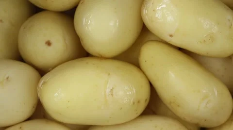 Young potato in water close up. Loop rotation Stock Footage 64261436