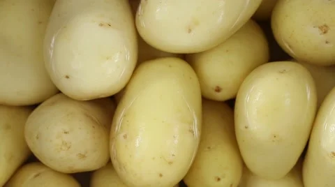 Young potato in water close up. Loop rotation. Stock Footage 64482994