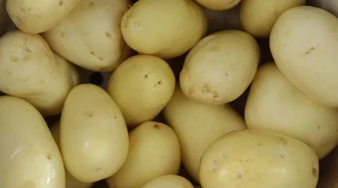 Young potato in water close up. Loop rotation Stock Footage 66954372