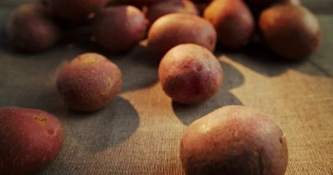 Young potatoes, camera movement on a group of potatoes. Stock Footage 116618847