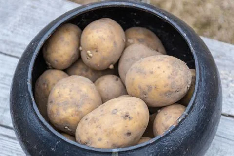 Young potatoes in pot, background Foto stock