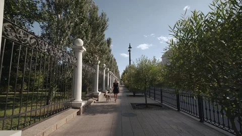 Young pretty blonde with her red dog walks along a city street. Concept: A dog i Stock Footage 115102085