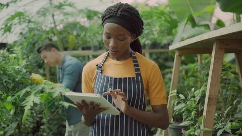 Young professional female farmer using tablet computer, controling cultivation Stock Footage 161428264