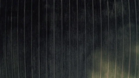 Young Rapeseed Fields Drone shot in Europe Latvia Stock Footage 120317621