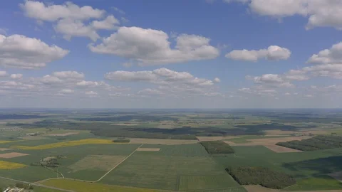 Young Rapeseed Fields Drone shot in Europe Latvia Stock Footage 120317659