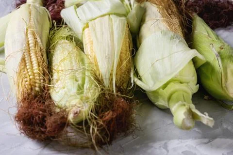 Young raw corn cobs Stock Photos