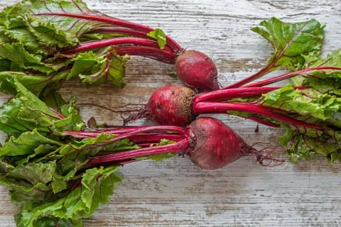 Young red beetroot on a rustic plank Stock Photos