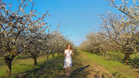 Young redhead female walking and having fun in blossoming cherry garden Stock Footage 106949863
