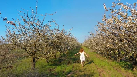 Young redhead female walking and having fun in blossoming cherry garden Stock Footage 106949990