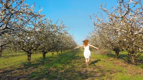 Young redhead female walking and having fun in blossoming cherry garden Stock Footage 106950003