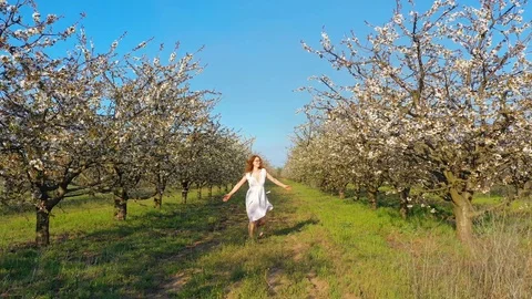 Young redhead female walking and having fun in blossoming cherry garden Stock Footage 106950040