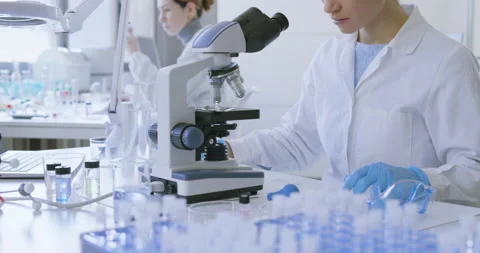 Young researcher examining a sample Stock Footage 211368278