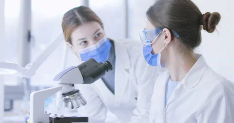 Young researchers talking in the laboratory Stock Footage 211345815