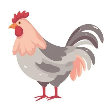 Young rooster standing on white background Illustrazione stock