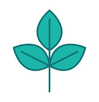 Young sapling isolated. Sprout plant on white background Stock Illustration