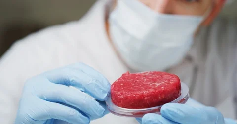 An young scientist is analyzing a cultured artificial meat sample in laboratory. Stock Footage 114670231