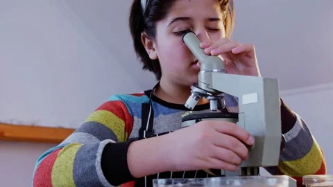 A young scientist examines a leaf of a plant through a microscope. School scienc Stock-Footage 172145202