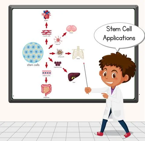 Young scientist explaining stem cell applications in front of a board in labo Illustrazione stock
