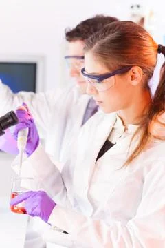 Young scientist pipetting red solution. Stock Photos