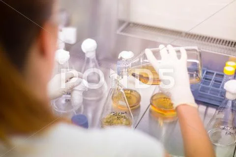 Young scientist pipetting solution. Stock Photos