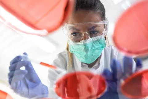 Young scientist puts sample with pipette Stock Photos