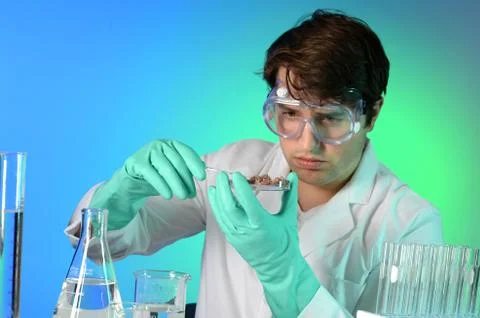 Young Scientist Testing Meat Stock Photos