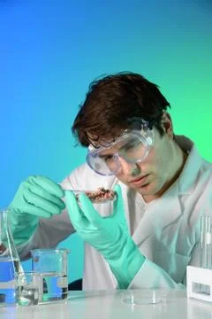 Young Scientist Testing MEat Stock Photos