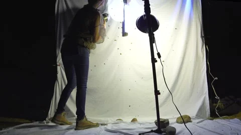 Young scientist using blacklight set up to study insects Stock Footage 139073212