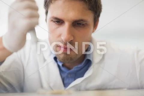Young scientist using carefully a pipette Stock Photos