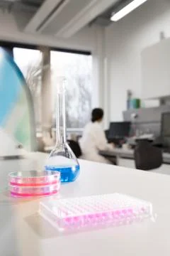 Young scientist working at laboratory computer Foto stock