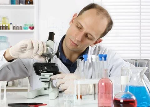 A young scientist working in the laboratory Foto stock