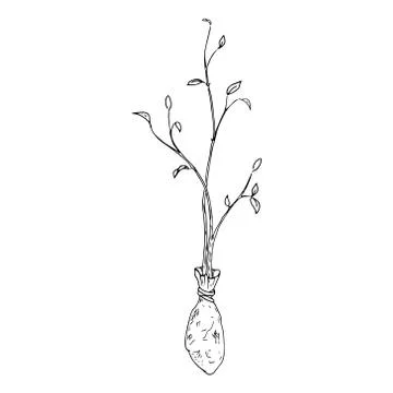 Young seedling icon. Vector illustration of a young sapling for planting. Han Illustrazione stock
