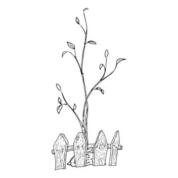 Young seedling icon. Vector illustration of a young sapling for planting. Han Illustration