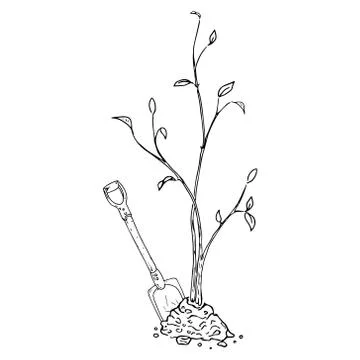 Young seedling icon. Vector illustration of a young sapling for planting. Han Illustrazione stock