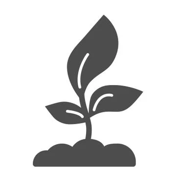 Young seedling with three leaves solid icon, Agriculture concept, Sprout symbol Illustration