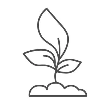 Young seedling with three leaves thin line icon, Agriculture concept, Sprout Illustration