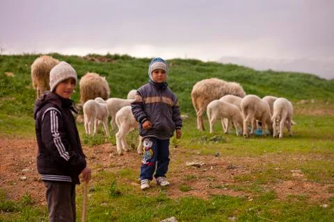 Young Shepherds with their Flock Stock Photos